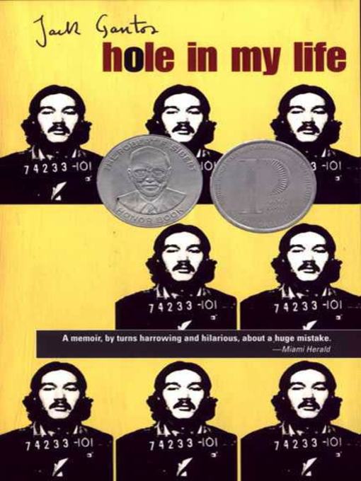 Cover image for Hole in My Life
